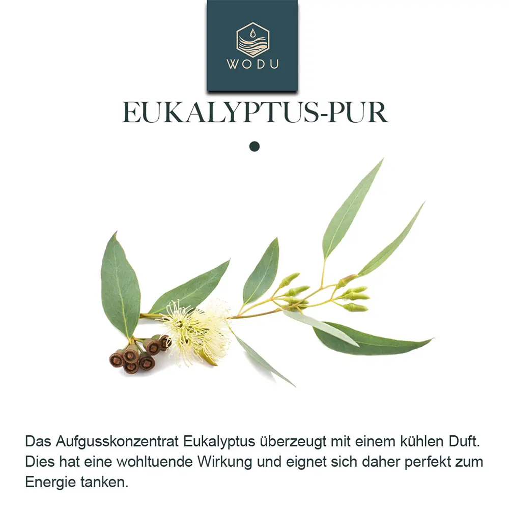 Saunaaufguss Eukalyptus pur (Aufgusskonzentrat) – Bild 4