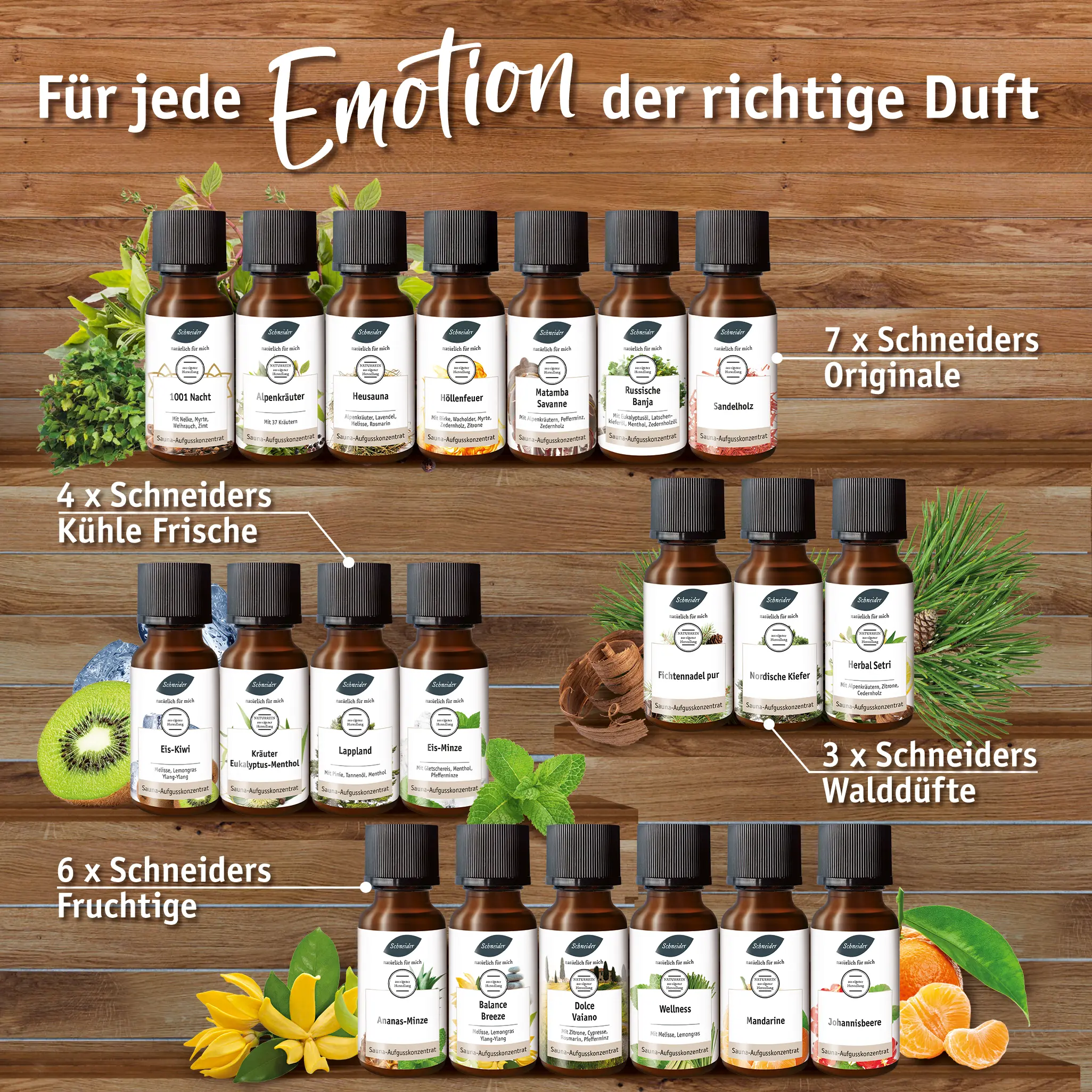 Saunaaufguss "Duftreise 20" – Bild 3